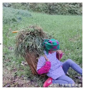 網(wǎng)紅小英被曝大瓜,背后真相令人震驚