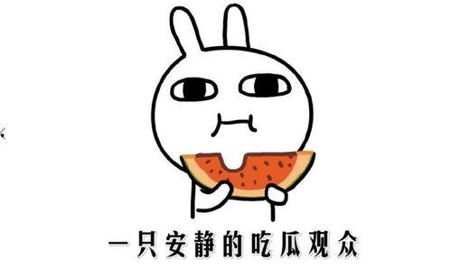 吃瓜網(wǎng),吃瓜網(wǎng)帶你領(lǐng)略明星幕后故事