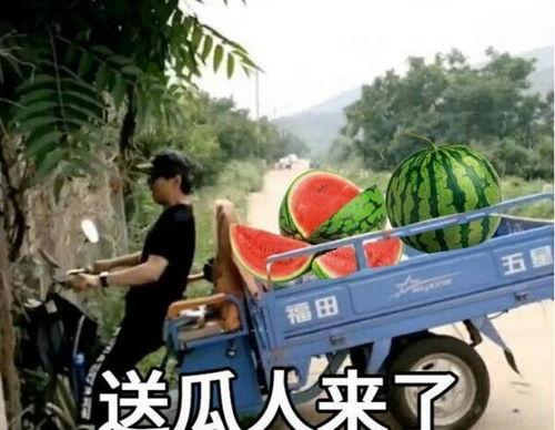 最近大瓜事件,揭秘明星隱私風(fēng)波背后的真相